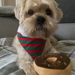 Irene Williamson - Facebook