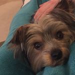 WillowIrene - @willow.irene - Instagram