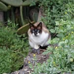Reni Molly - @irene.wirth.773 - Instagram
