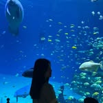 Irene Yan - @_1_2_2_5 - Instagram