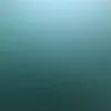 IreneYates - @ireneyates4 - TikTok