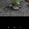 Irene ying - @irene.ying7 - TikTok