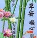 Irene Yip - Facebook