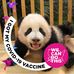 Irene Yip - Facebook