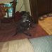 Irene Yoder - Facebook