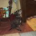 Irene Yoder - Facebook