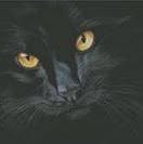 Irina Evans - Facebook