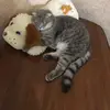 Irina Marsheva562 - @irina_marsheva_ - TikTok