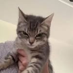 Irina Roy - @roy_iri_na - Instagram
