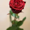 irinaroy10 - @irinaroy10 - TikTok