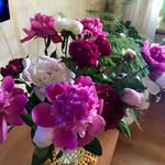 Irina Shmidt - @irinashmidt1703 - Instagram