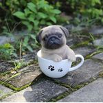 Iris - @_iris_abraham - Instagram