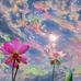 Iris Acevedo - Facebook