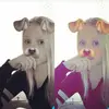 _irisadams_ - @_irisadams_ - TikTok