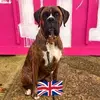Iris Adams - @iris.adams65 - TikTok