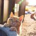 Iris Adkins - Facebook