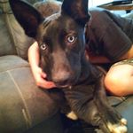 raiden iris adkins - @raiden_iris_adkins - Instagram
