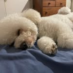 Iris Platon Albo - @irisalbo - Instagram