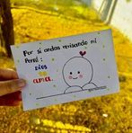Iris Alfaro - Facebook