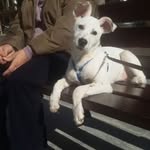 Iris Van Der Mey Alfonso - @vandermeyalfonso - Instagram