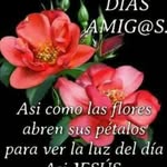 Iris Aranda Yañez - @irisarandayanez - Instagram