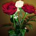 Iris Armijo - Facebook