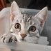 Iris Arndt - Facebook