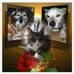 Iris Arndt - Facebook