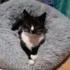 püpi - @irisarndt8 - TikTok