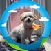 Iris Arocho - Facebook