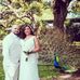 Iris Ellis - Facebook