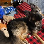 Asher and Iris - @asherandiris - Instagram