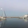 irisasherian - @irisasherian - TikTok
