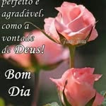 Iris Assunção Paiva - @piedadeluiscarlosdossantos - Instagram