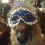 iris atkins - @babyiris2010 - Instagram