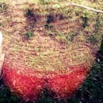 Iris Avalos - @yunuen_97 - Instagram