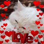 Iris Avelar - @iris.avelar.399 - Instagram