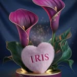 iris avelar - @imartinezavelar - Instagram