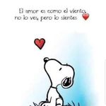 Iris Avelar Gut... - @irisavelargut - Instagram