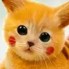danielleirisbaird - @d91827364 - TikTok