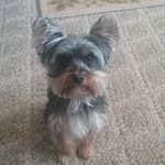 iris s. barnhardt - @iriss.barnhardt - Instagram