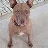 irisbarreiro761 - @irisbarreiro761 - TikTok