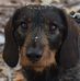 Iris Barth - Facebook
