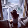 Iris Bartholomew - @o97osll4lx - TikTok