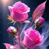 Iris Baten - @iris.baten - TikTok