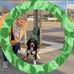 Iris Bauer - Facebook