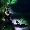 Blacky - @irisbaumgartl - TikTok