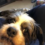 Alison Kelley - @alisonbaxteriris - Instagram