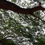 Kasidit - @kasidit_beam_iris - Instagram