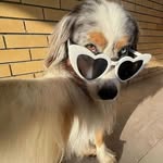 iris Benavides - @risibenavides - Instagram